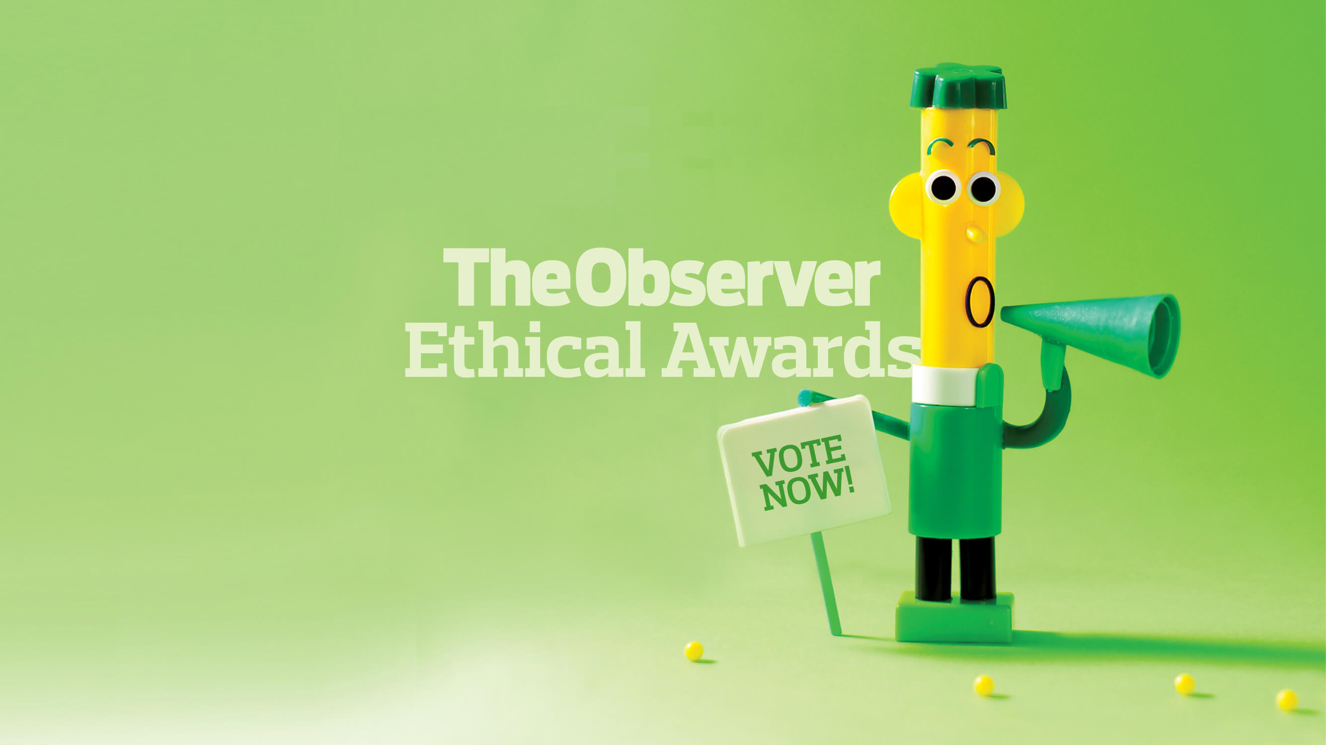 The Observer